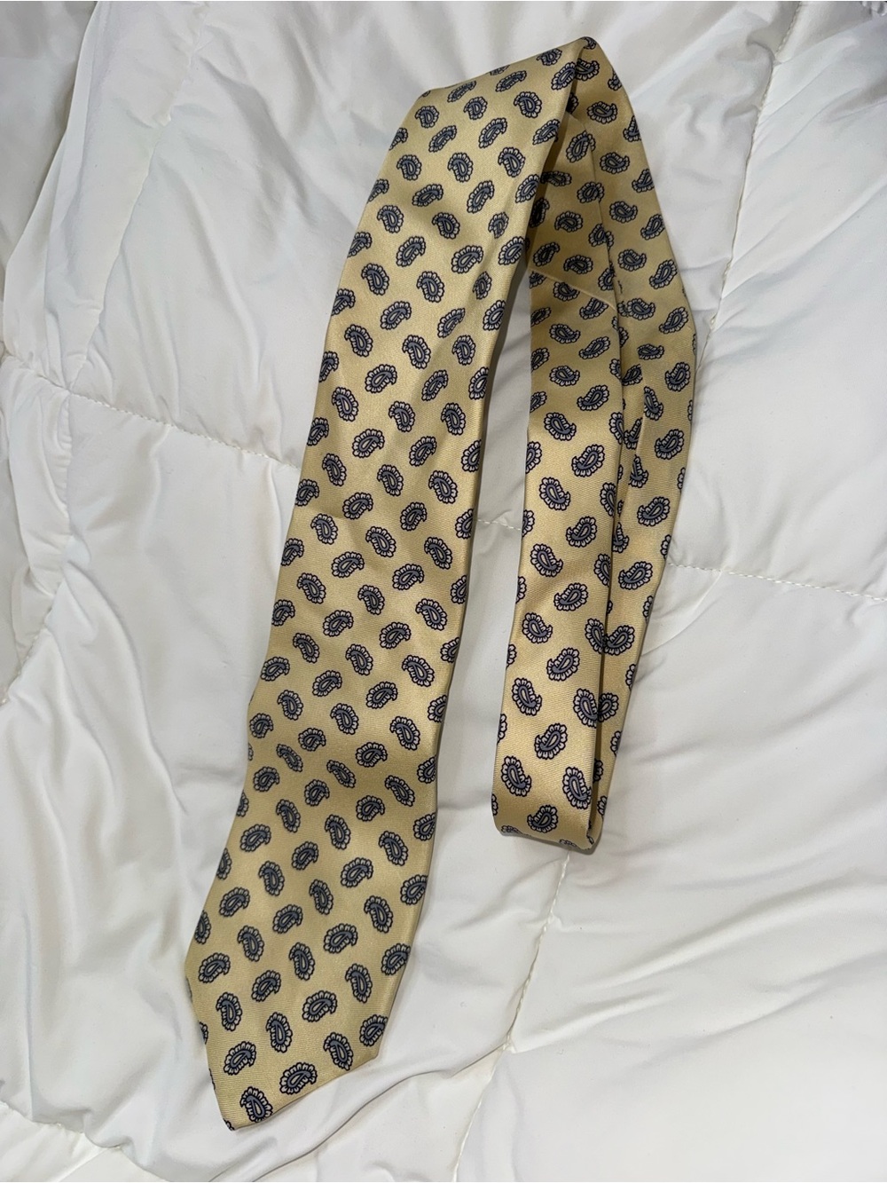 Men's Beige Paisley Silk Tie - Classic Pattern